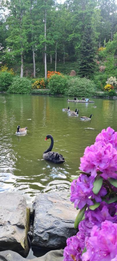 Fewo Am Premium Wanderort Lägenhet Bad Berleburg Exteriör bild