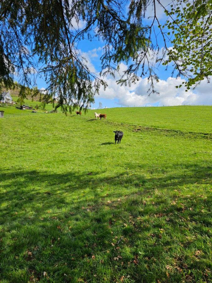 Fewo Am Premium Wanderort Lägenhet Bad Berleburg Exteriör bild